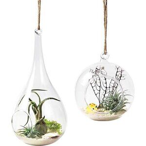 Mkono 2 Pack Glass Hanging Planter Air Fern Holder Terrarium Plants Hanger Vase